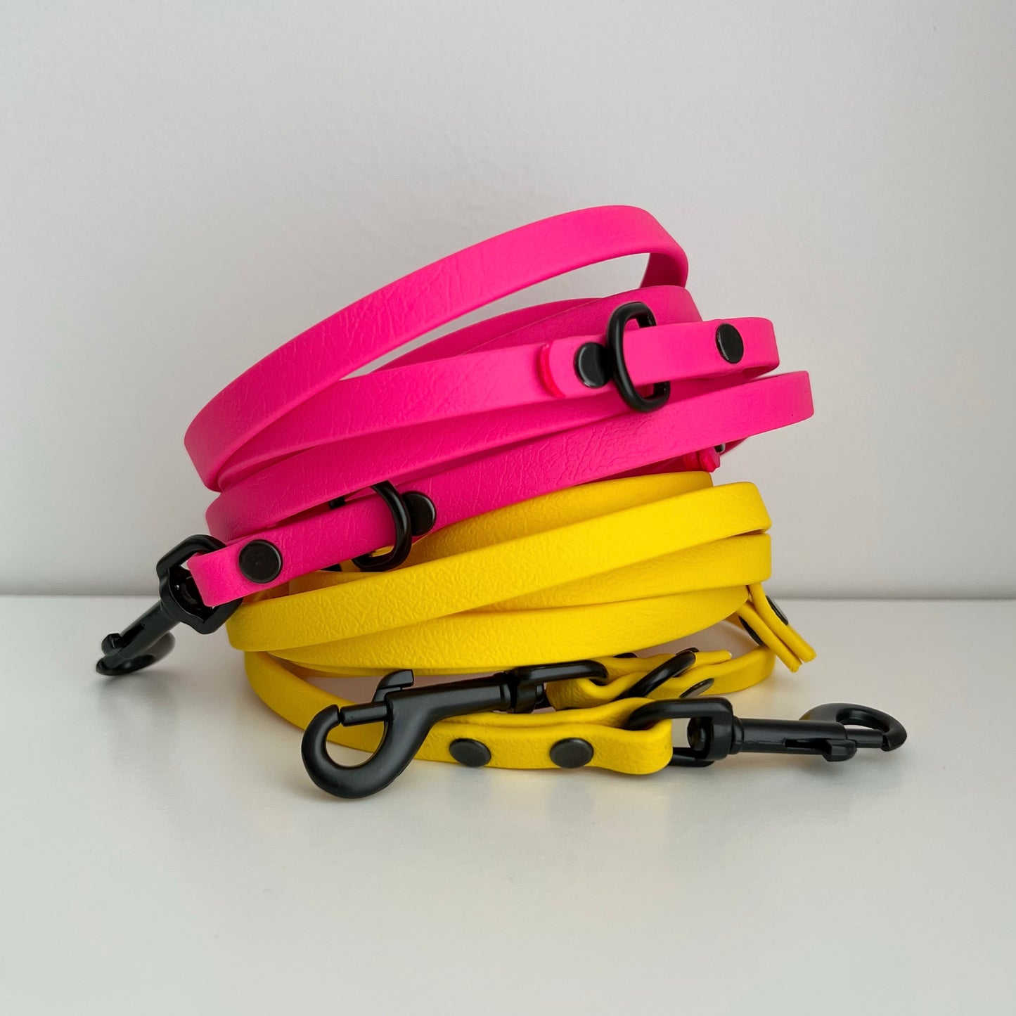Hands Free Biothane Leash