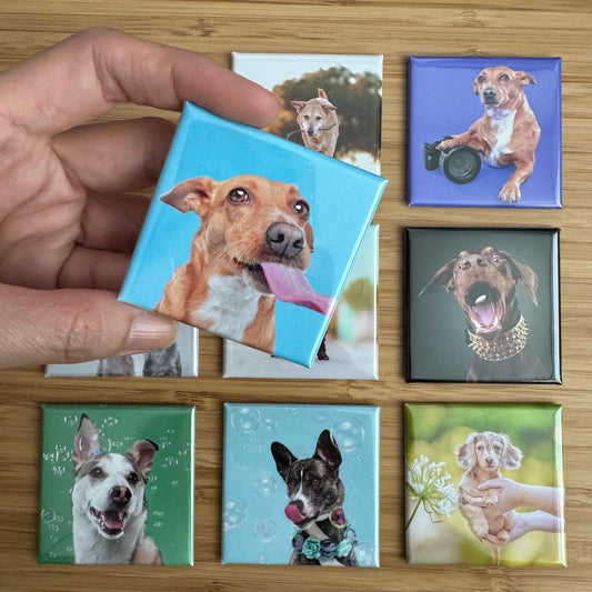 Custom Photo Magnets - Set of 9