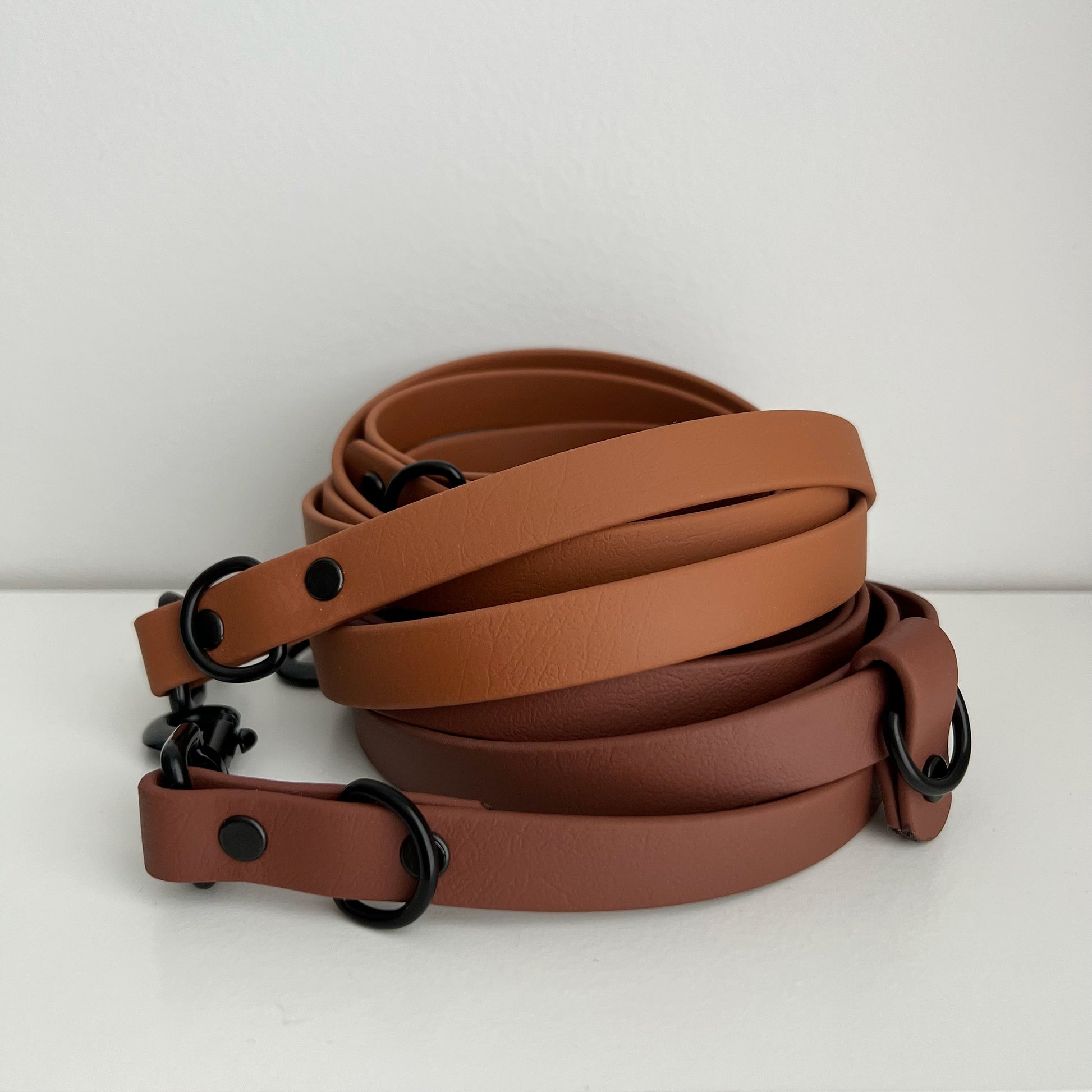 Link BioThane Collar & Leash Set