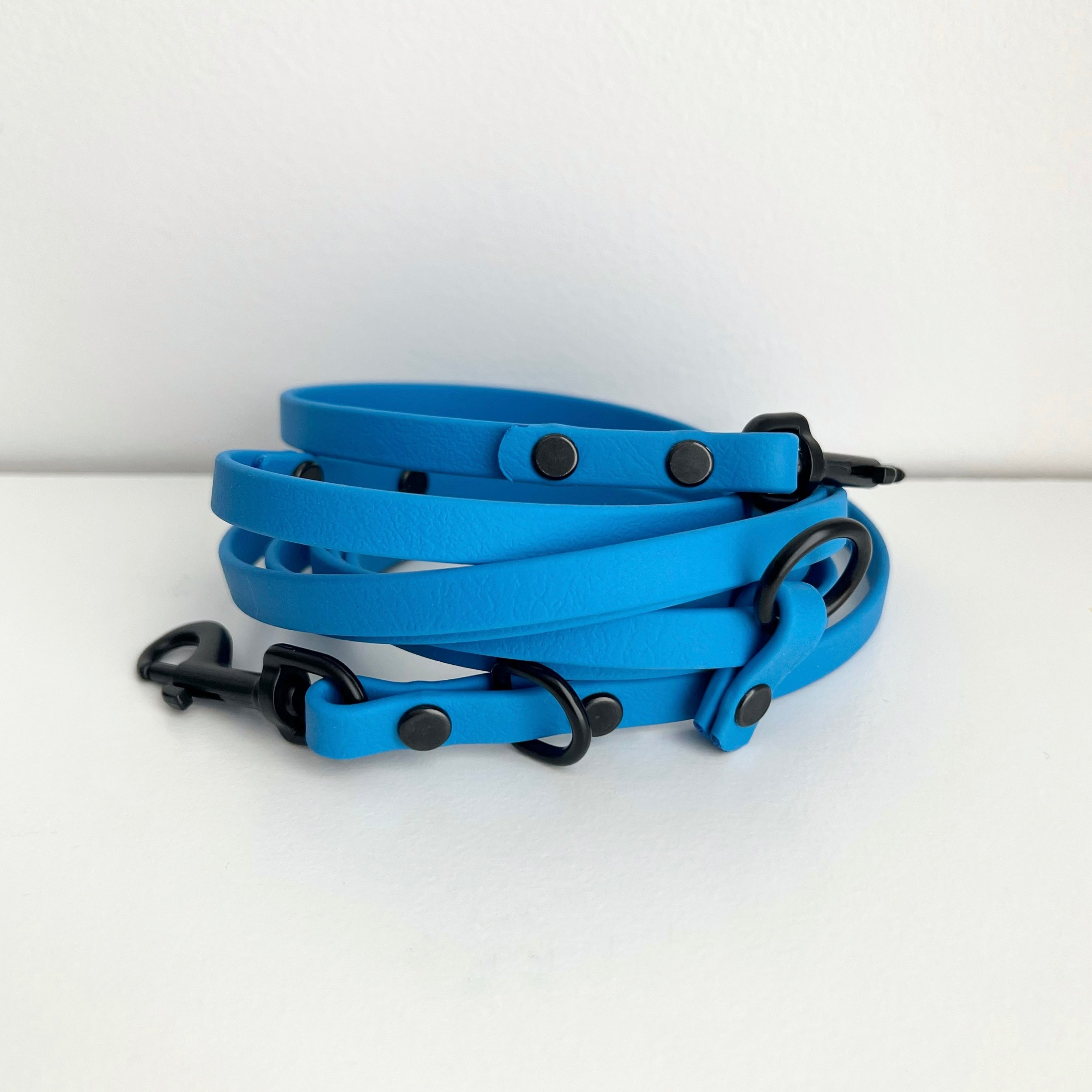 Hands Free Biothane Leash Sunshine Dog Co