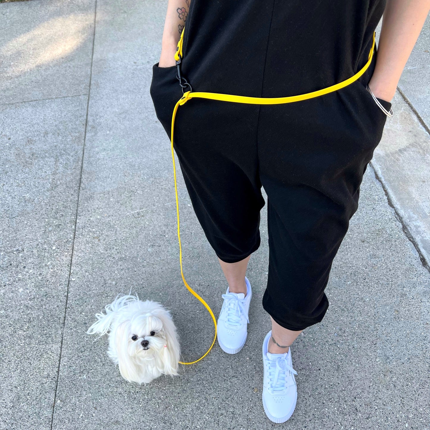 Hands Free Biothane Leash