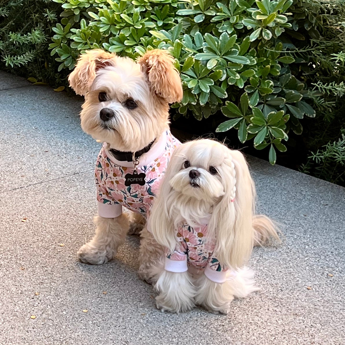 The PENNY Pink Floral Shirt
